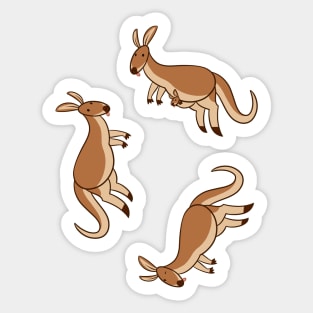 Kangaroos! Sticker